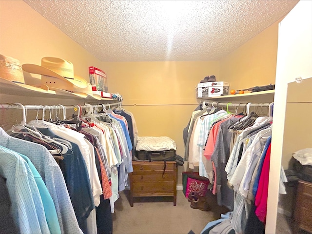 21363 Stevenson Rd, Frankston, TX 75763 - spacious closet featuring carpet flooring