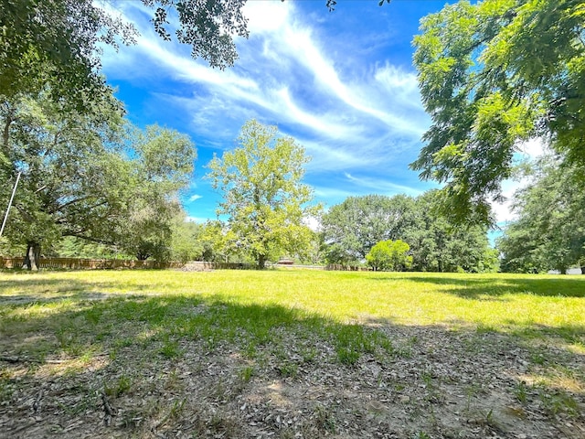 21363 Stevenson Rd, Frankston, TX 75763 - view of yard