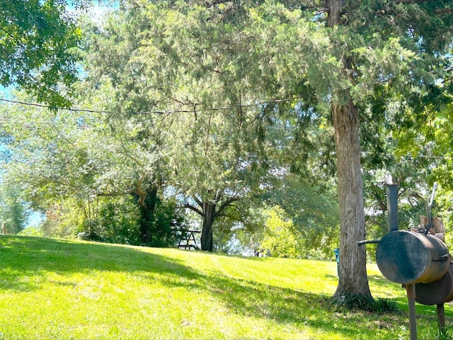 21363 Stevenson Rd, Frankston, TX 75763 - view of green lawn