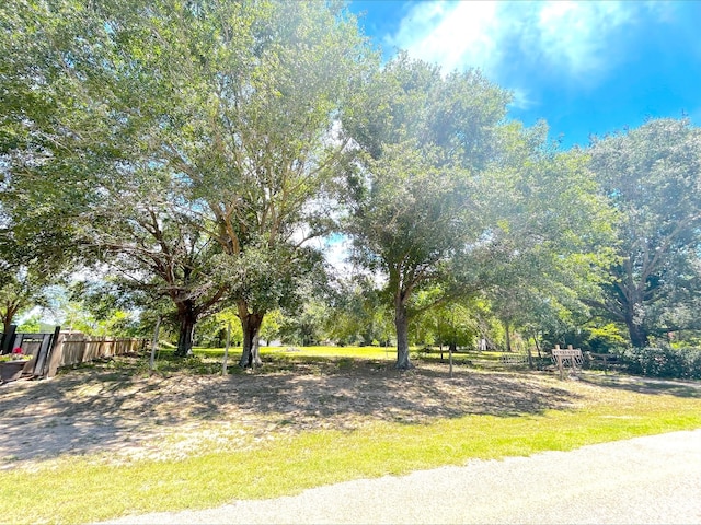 21363 Stevenson Rd, Frankston, TX 75763 - view of yard