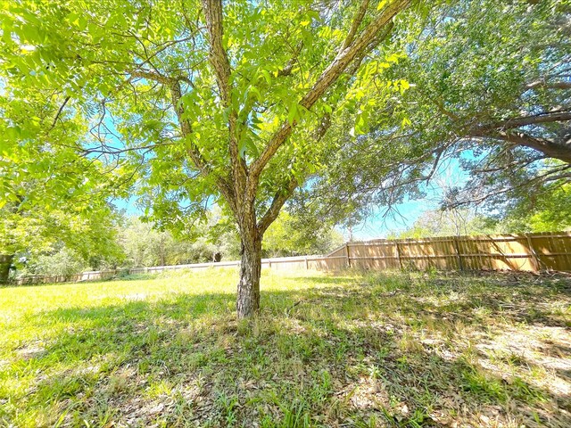 21363 Stevenson Rd, Frankston, TX 75763 - view of fenced backyard