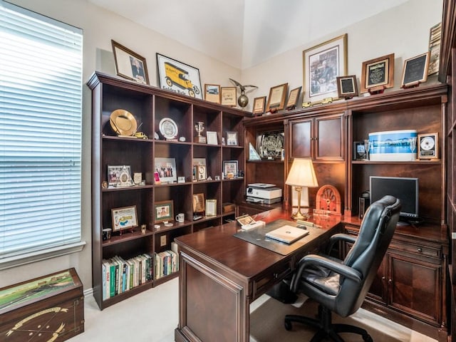 7805 Chapel View Dr, Mckinney, TX 75072 - office space with light carpet