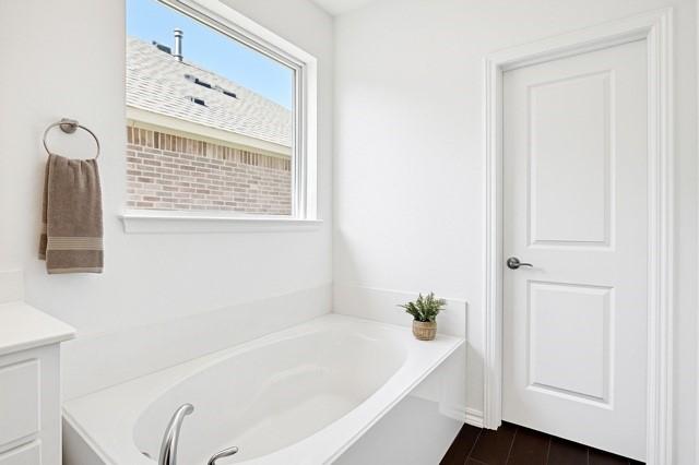 11216 Ponderosa Trl, Aubrey, TX 76227 - bathroom with a garden tub and vanity