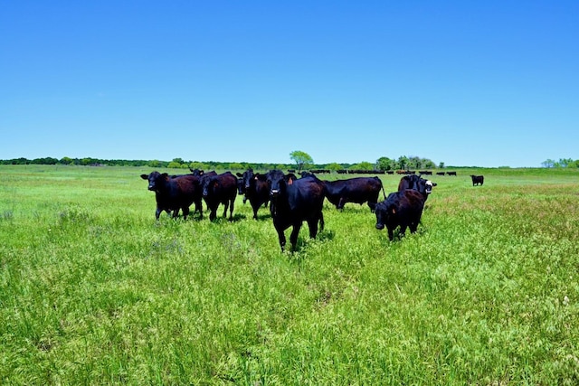 000 W Pleasant Valley Rd, Henrietta, TX 76230