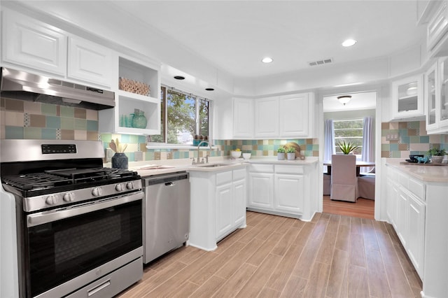 205 N College St, Mckinney, TX 75069 - kitchen with appliances with stainless steel finishes, under cabinet range hood, light countertops, a sink, and decorative backsplash