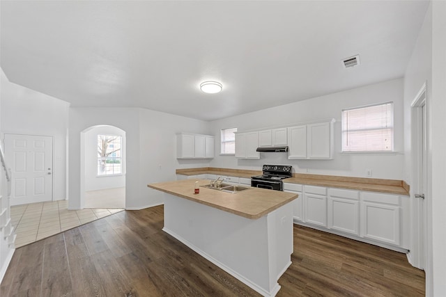 2442 Mackinac Dr, Frisco, TX 75033 - kitchen with black / electric stove, a sink, arched walkways, and dark wood finished floors