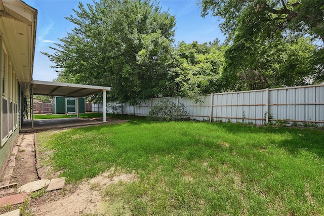 1317 Elby St, Irving, TX 75061 - view of yard