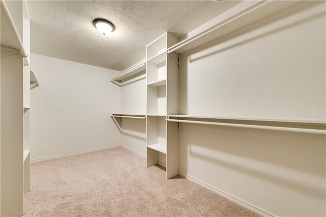 3331 Ruidosa Ave, Dallas, TX 75228 - walk in closet featuring carpet flooring