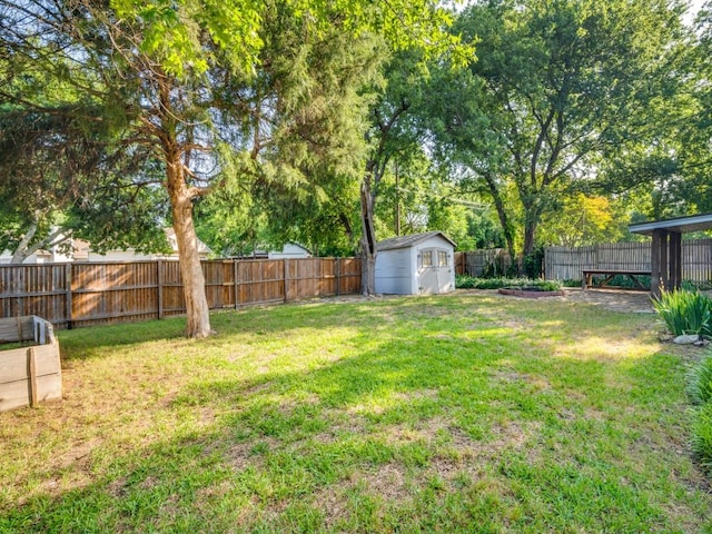1429 Meadowcrest Dr, Plano, TX 75075 - view of yard