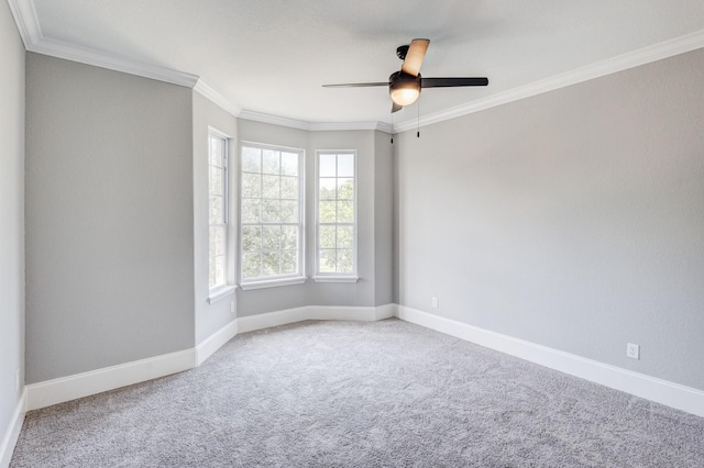 3005 S Jennings Ave, Fort Worth, TX 76110 - unfurnished room featuring healthy amount of natural light, carpet, ceiling fan, crown molding, and baseboards