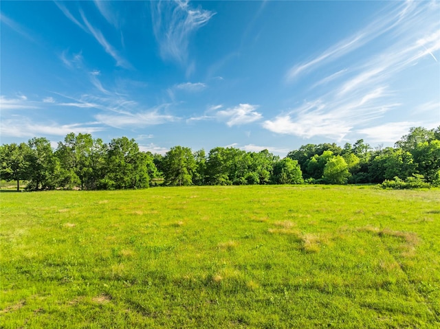 LOT4 Cascades Blvd, Paris, TX 75462