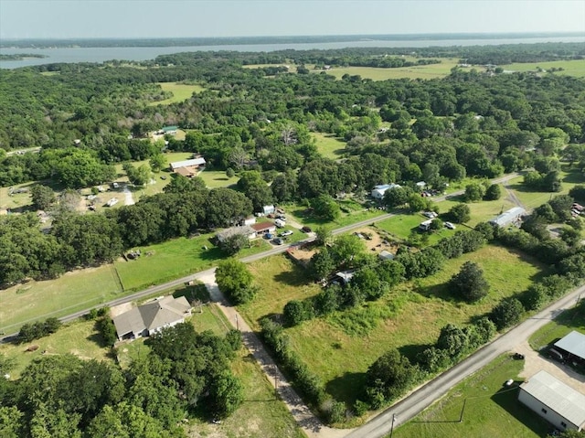 17128 County Road 3322, Frost, TX 76641 - view of property location with a large body of water and a forest