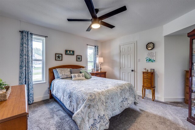 2208 Turtle Creek Dr, Sherman, TX 75092 - carpeted bedroom with multiple windows, a ceiling fan, a textured ceiling, and baseboards
