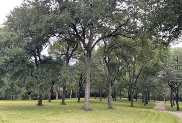 2208 Turtle Creek Dr, Sherman, TX 75092 - view of property's community featuring a yard