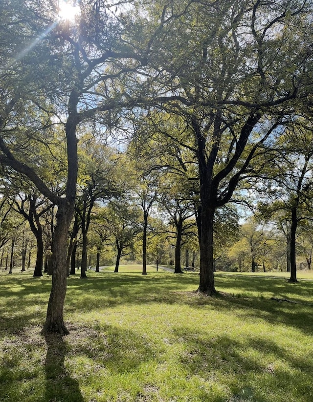 2208 Turtle Creek Dr, Sherman, TX 75092 - view of green lawn