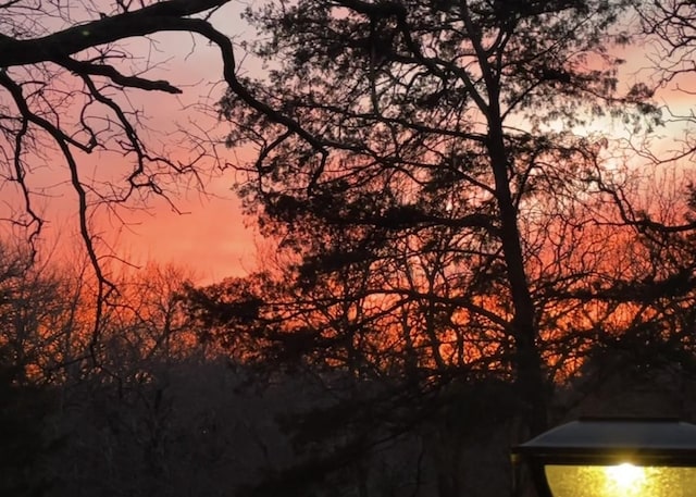 2208 Turtle Creek Dr, Sherman, TX 75092 - view of nature at dusk