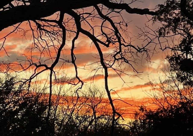 2208 Turtle Creek Dr, Sherman, TX 75092 - view of nature