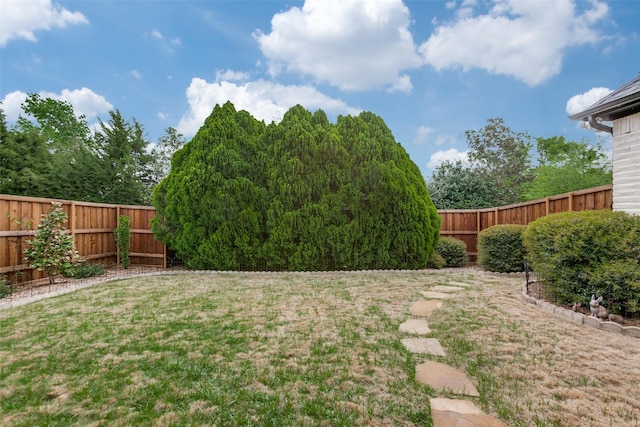 5916 Broadmoor Dr, Plano, TX 75093 - view of fenced backyard