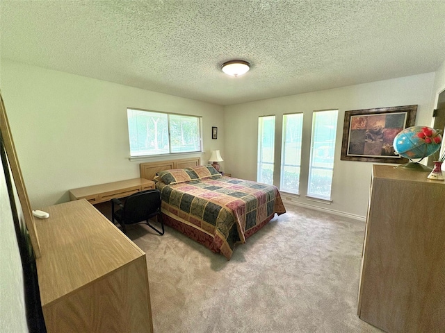1107 Rock Springs Rd, Duncanville, TX 75137 - bedroom with multiple windows, carpet, and a textured ceiling