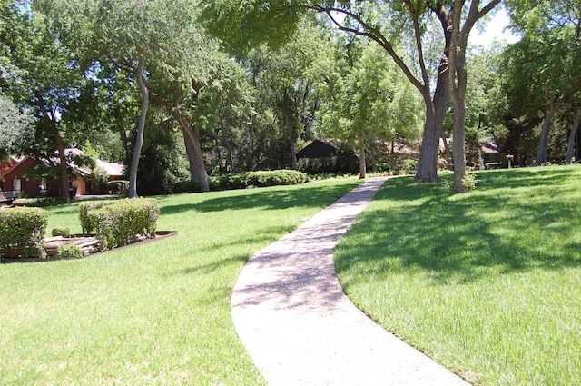 1107 Rock Springs Rd, Duncanville, TX 75137 - surrounding community with a lawn
