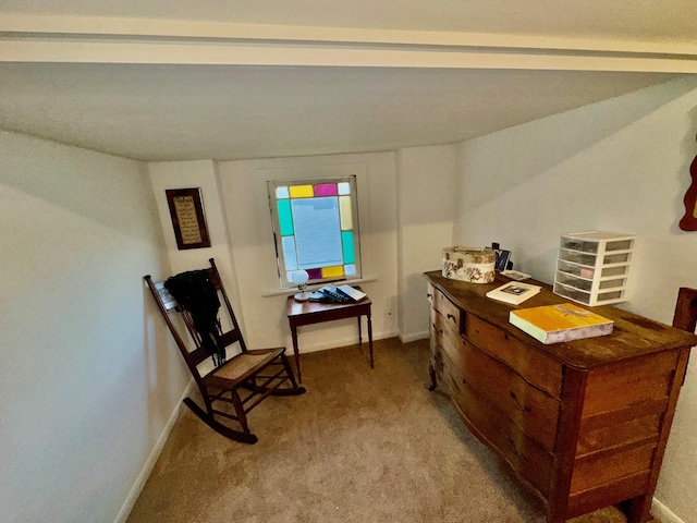 618 W Chestnut St, Denison, TX 75020 - home office with carpet and baseboards