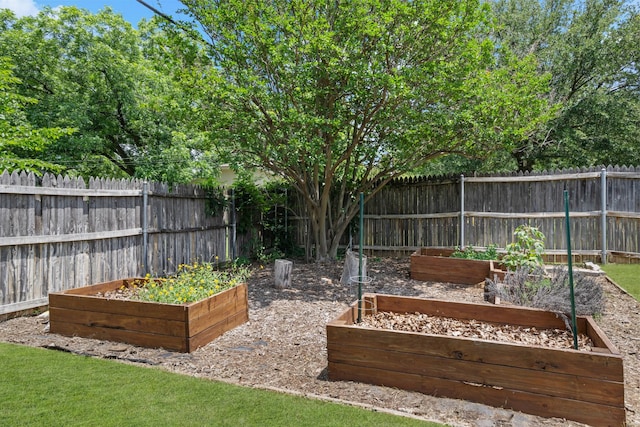 1807 Roosevelt Ct, Pantego, TX 76013 - view of yard with a vegetable garden