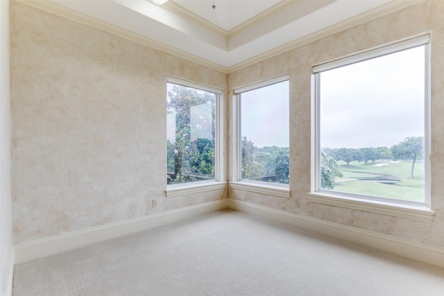 5528 Gleneagles Dr, Plano, TX 75093 - carpeted spare room with plenty of natural light, crown molding, and a tray ceiling