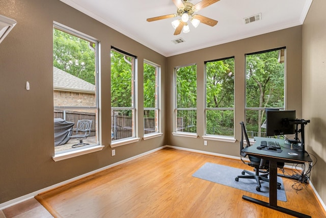 142 Shelby Trce, Murphy, TX 75094 - office featuring plenty of natural light, a ceiling fan, wood finished floors, baseboards, and crown molding