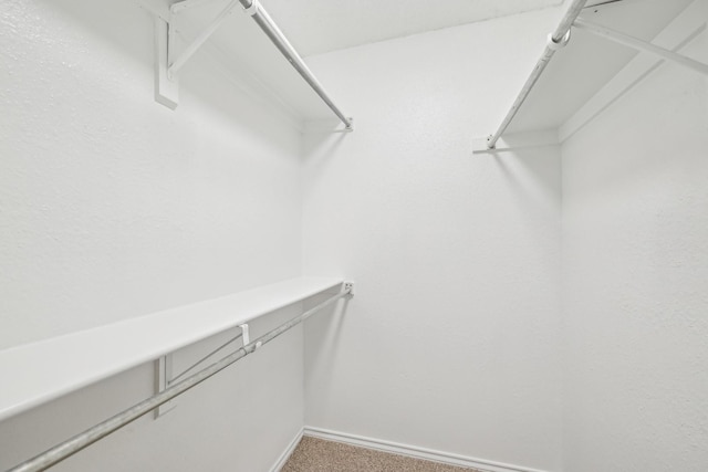1713 Carrington, Glenn Heights, TX 75154 - walk in closet with carpet