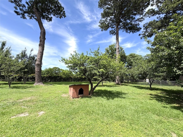 1205 Lamar, Mount Pleasant, TX 75455 - view of yard