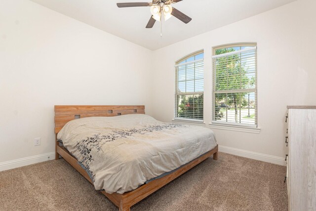 3021 Cobalt Dr, Aubrey, TX 76227 - carpeted bedroom with multiple windows, baseboards, and a ceiling fan