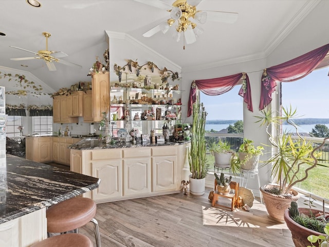 3709 Cliff View Loop, Weatherford, TX 76087 - bar area with a ceiling fan, plenty of natural light, lofted ceiling, light wood-type flooring, and a water view