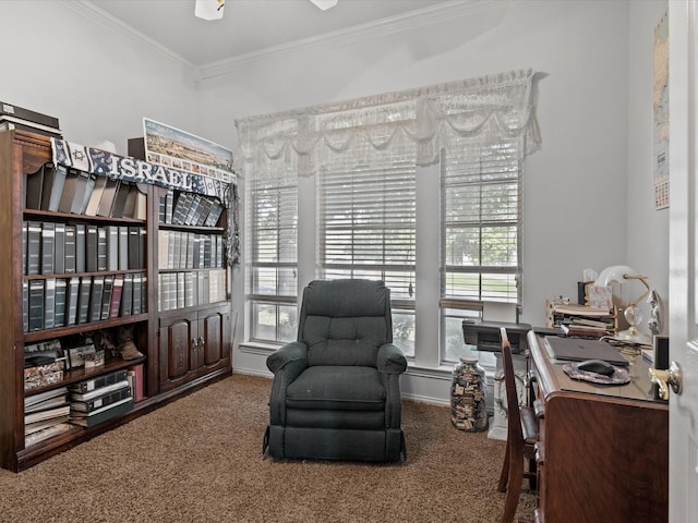 3709 Cliff View Loop, Weatherford, TX 76087 - office area with carpet floors, crown molding, plenty of natural light, and baseboards