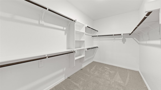 7545 Wild Mint Trl, Midlothian, TX 76084 - spacious closet with light colored carpet