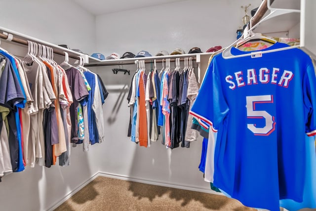 16637 Friesland Ln, Justin, TX 76247 - walk in closet with carpet floors