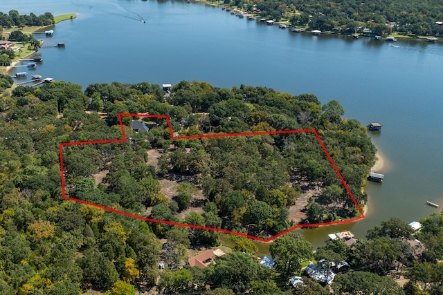 6881 Scenic Dr, Eustace, TX 75124 - view of property location featuring a nearby body of water, property parcel outlined, and a forest