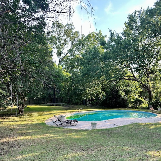 1602 England Rd, Arlington, TX 76013 - outdoor pool with a lawn