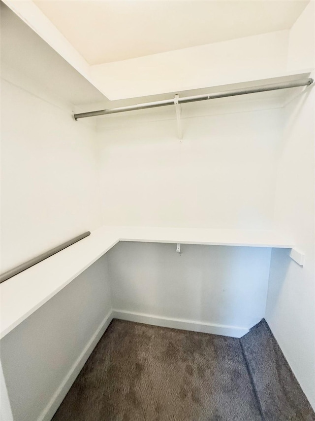2807 Throckmorton St Unit 101, Dallas, TX 75219 - walk in closet featuring dark carpet