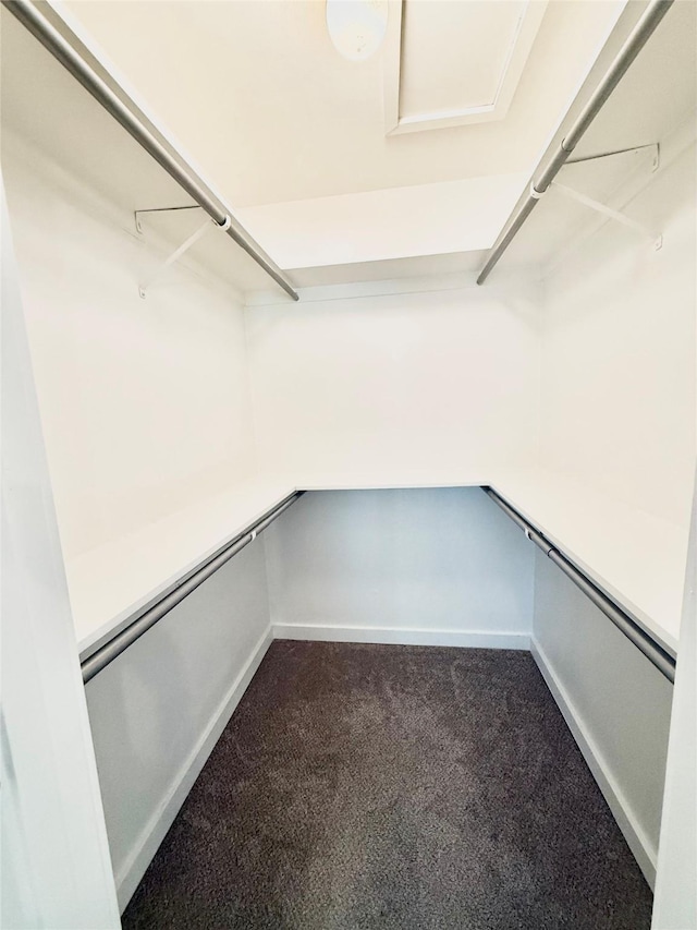 2807 Throckmorton St Unit 101, Dallas, TX 75219 - walk in closet with dark colored carpet