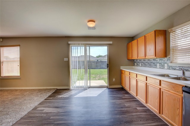 1057 Castle Top Dr, Fort Worth, TX 76052 - kitchen featuring plenty of natural light, a sink, dark wood-style flooring, and light countertops