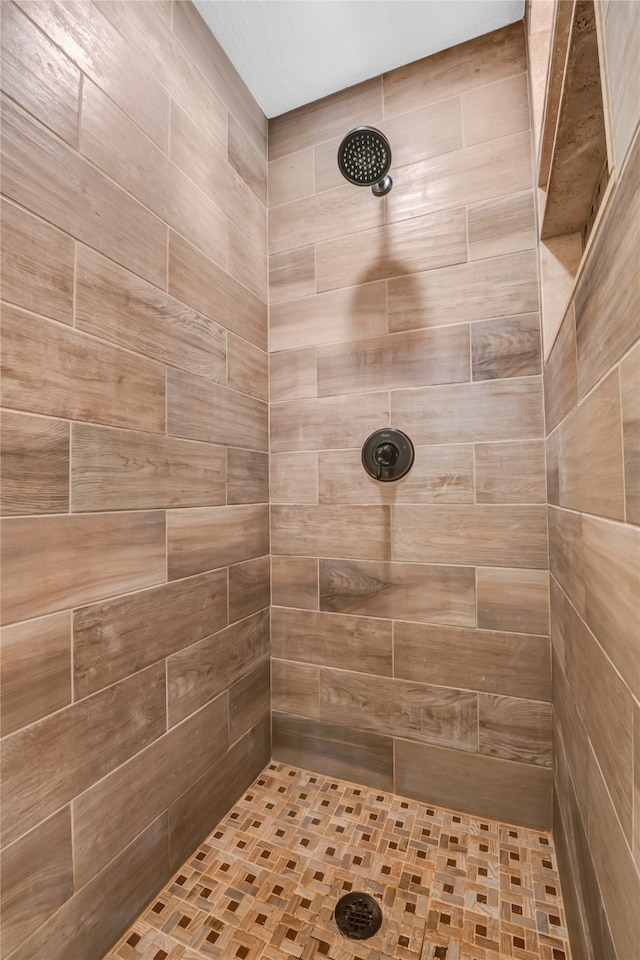 121 Sanchez Creek Ct, Weatherford, TX 76088 - bathroom with tiled shower