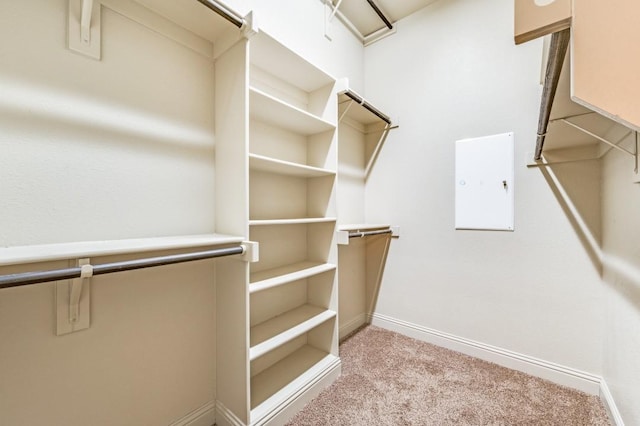 1420 Candler Dr, Prosper, TX 75078 - walk in closet featuring light carpet