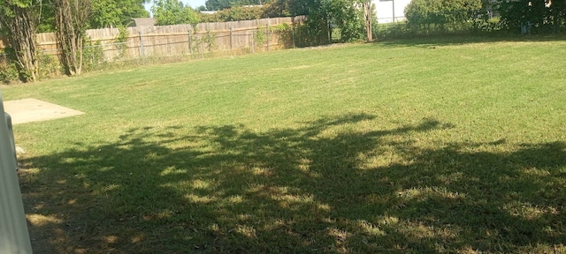 204 E Willow Ln, Princeton, TX 75407 - view of yard