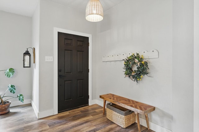 3964 Hunter Peak Rd, Fort Worth, TX 76262 - foyer entrance featuring wood finished floors and baseboards