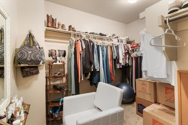 2113 Brenham Dr, Forney, TX 75126 - view of spacious closet