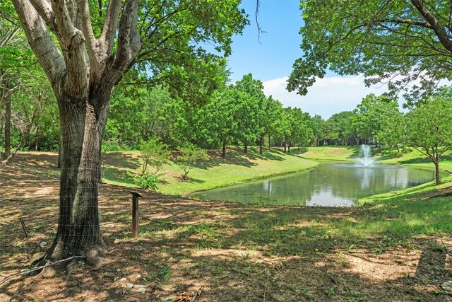 908 Bridges Dr, Arlington, TX 76012 - water view