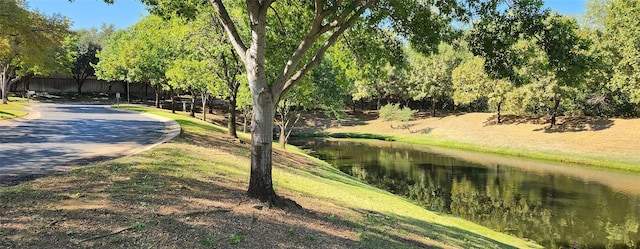 908 Bridges Dr, Arlington, TX 76012 - surrounding community featuring a water view