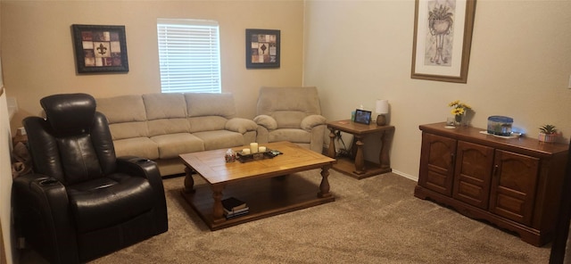 1708 N Bent Tree Trl, Grand Prairie, TX 75052 - view of carpeted living room