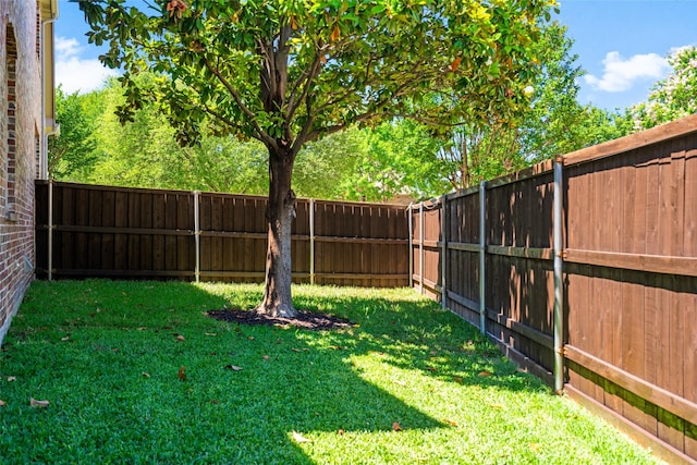 913 Bristlewood Dr, Mckinney, TX 75072 - view of yard