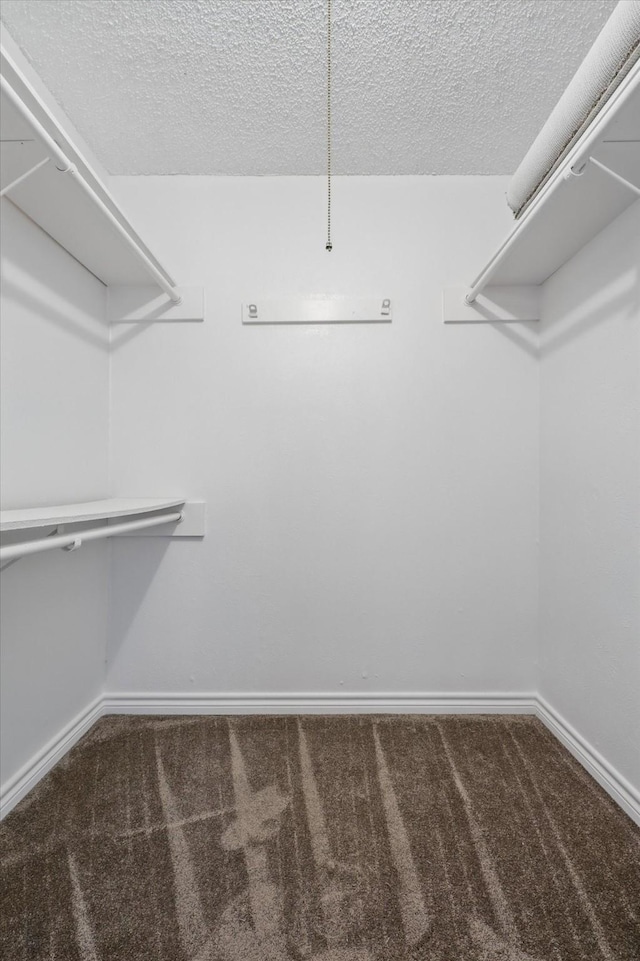 1713 Arvada Dr, Richardson, TX 75081 - walk in closet featuring carpet